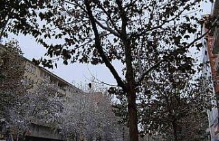 Kırşehir’de tipi etkili oldu, ekipler yolları...