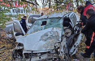 Kontrolden çıkan otomobil kayısı bahçesine daldı:...