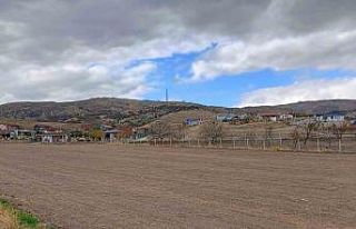 Köpek sürüsünün saldırdığı çocuğun hastanedeki...