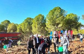 Köyceğiz’de bin 111 fidan dikildi