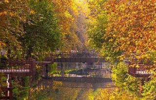 Kozan Atatürk Parkı sonbahar renklerine büründü