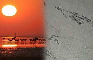 Kuş Cenneti Seyfe Gölü, driftçilerin yeni adresi...