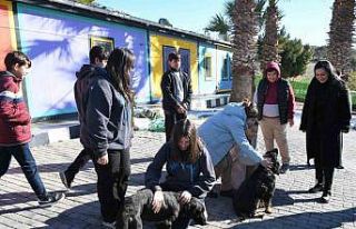 Kuşadası Evcil Hayvan Bakım ve Rehabilitasyon Merkezi,...