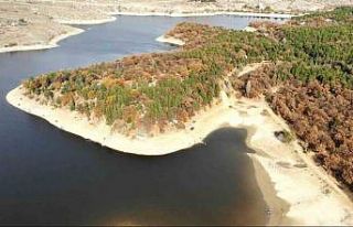 Kütahya Enne Barajı ve Tabiat Parkı’nda sonbahar...