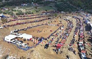 Kuyucak’ta pehlivan develer şampiyonluk için güreşti