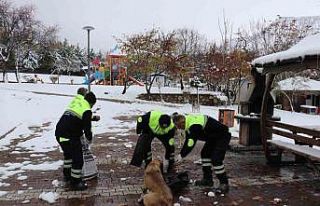 Malatya’da kış şartlarında sokak ve yaban hayvanları...