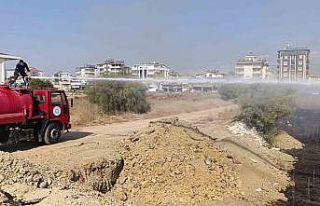 Manavgat’ta çalılık yangını, evlere ulaşmadan...