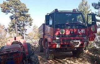 Manisa’da ormanlık alanda çıkan yangın söndürüldü