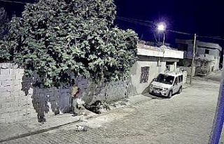 Mardin’de tavuk hırsızlığı güvenlik kamerasına...