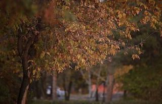 Medeniyetler geçidi Ağrı’da iki mevsim bir arada