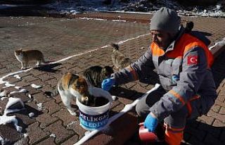 Melikgazi Belediyesi kar yağışı sonrası sokak...