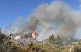 Menteşe’de orman yangını, söndürme çalışmaları...