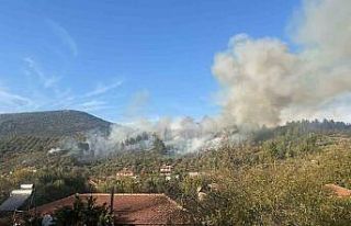 Menteşe’deki yangına havadan müdahale başladı