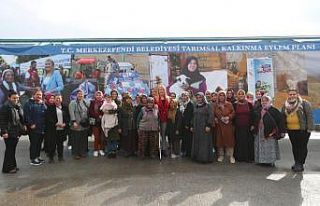 Merkezefendi Belediyesinin yem desteği devam ediyor