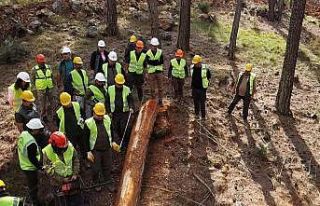 Mersin Orman Bölge Müdürlüğünce üretim tatbikatı...