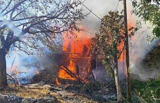 Mersin’de çıkan yangında bir ev kül oldu