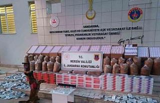 Mersin’de kaçakçılıkla mücadele, 208 bin adet...
