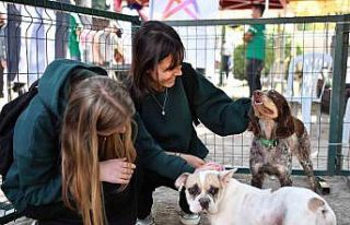 Mersin’de patili dostlar yeni yuvalarına kavuştu