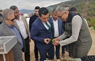 Milli Ağaçlandırma Günü’nde karbon zengini...