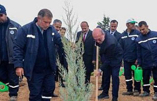 Milli Ağaçlandırma Günü’nde Sille’de fidanlar...