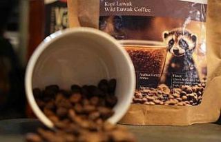 Misk kedisinin midesinde fermante olan ve titizlikle...