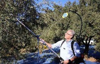 Mudanya Belediyesi zeytin üreticisinin yanında