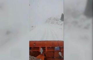 Muş’un yüksek kesimlerinde kar yağışı etkili...