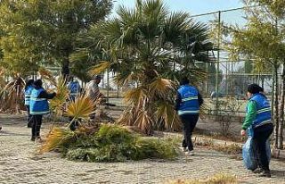 Nazilli Belediyesi’nden, İsabeyli Kampüsü’nde...