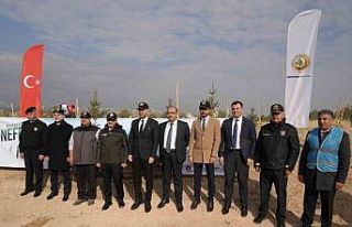 Niğde’de 5 bin fidan toprakla buluşturuldu