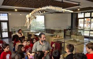 Öğrenciler bu müzede deniz canlılarıyla tanışıyor