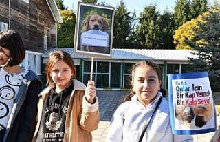 Öğrencilerden can dostlara anlamlı bağış