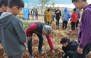 Öğretmenler Günü anısına 300 fidan toprakla...