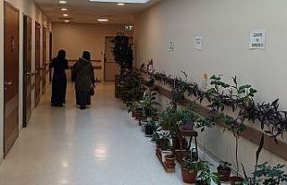 Onkoloji hastalarının motivasyonunu artırmak için...