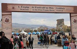 Onlarca at ve at sever bir araya geldi