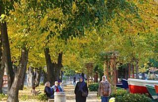 Ordu sahilinde ‘sonbahar’ güzelliği