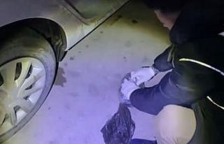 Osmaniye’de uyuşturucu operasyonu: 7 tutuklama