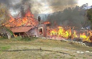 Otları yakmak isterken evi yandı: Yaşlı adam yaralandı