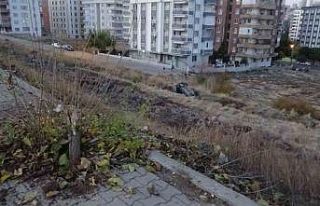 Otomobil 200 metreden yuvarlandı, çocuklar büyük...