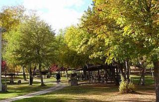 Paşabahçe mesire alanı sonbahar sessizliğine büründü