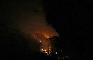 Pozantı’da çıkan orman yangını kontrol altına...