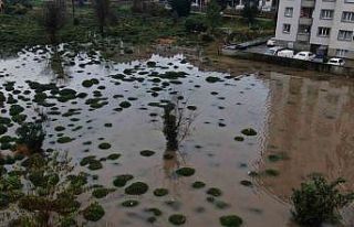 Rize’deki şiddetli yağıştan tarım arazileri...