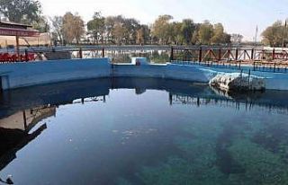 Sakaryabaşı’ndaki kuraklık vatandaşları tedirgin...