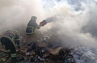 Samandağ’da çıkan kamışlık yangını söndürüldü