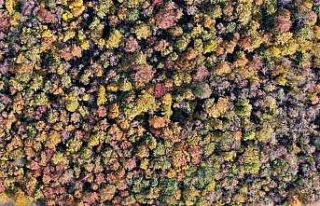 Samsun sonbaharda göz kamaştırıyor