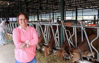 Şantiyeden köyüne dönüp süt çiftliği kurdu:...