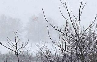 Sarıcakaya ilçesi beyaza büründü