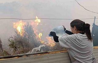 Sazlık alandaki yangına hortum ve bidonlarla müdahale...