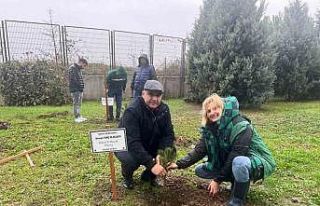 Şehit öğretmenler için stadyum çevresine ağaç...