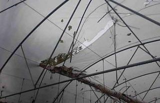 Selendi’de fırtına zarara yol açtı