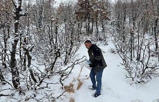 Siirt’te yaban hayvanları için doğaya yem bırakıldı